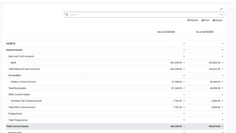 Balance Sheet in Odoo Community with a check line